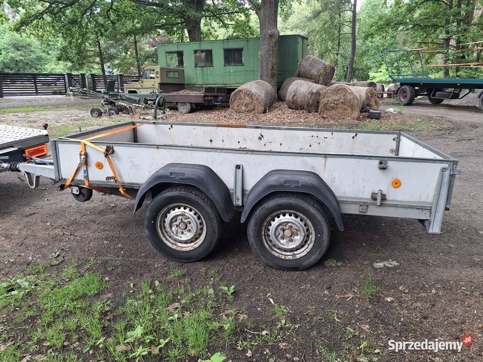 Przyczepa dwuosiowa westfalia 300x140 Krosno Odrzańskie