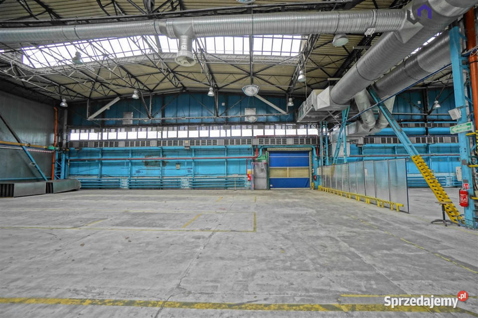 Lokal 3050m2 Mikołów śląskie