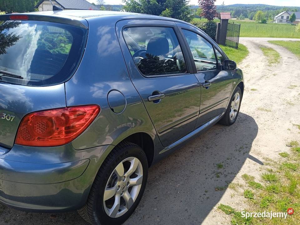 Peugeot 307 16 BenzynaKlimatyzacja210Prrzebieg Łagów