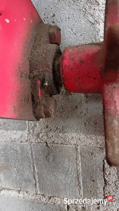 Kolczatka wał 180m Wasielewko