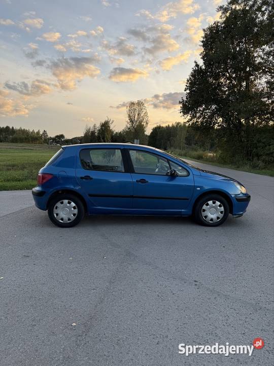 Peugeot 307 20HDI 90KM Radoszyce