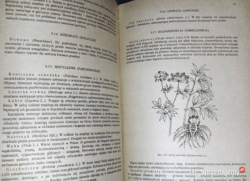 Ćwiczenia z toksykologii weterynaryjnej Zenon lubelskie Chełm