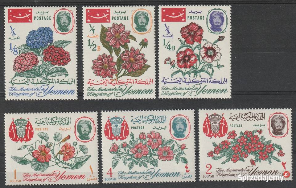 JEMEN KRÓLESTWO ROŚLINY CZYSTE łódzkie Łódź sprzedam