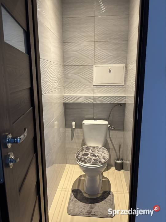 wynajmę mieszkanie w Centrum Mysłowic piwnica Mysłowice