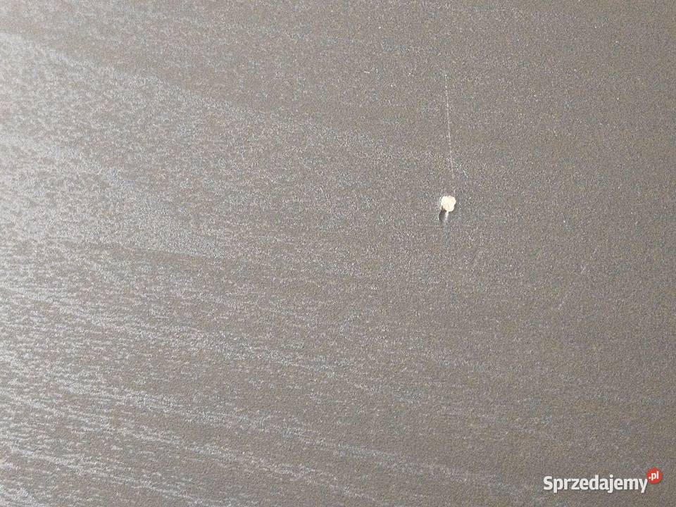 Blat IKEA LAGKAPTEN 60cm Dom i Ogród Poznań