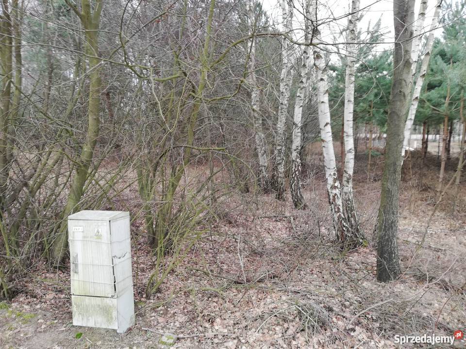 Działka 6600 m2 Józefów Widawski 32zł/m2 sprzedam