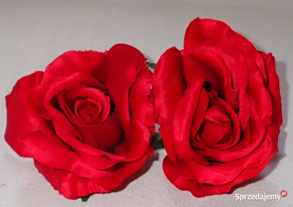 Róże rozwinięte różne kolory 1 śred 11 LA641 Siewierz