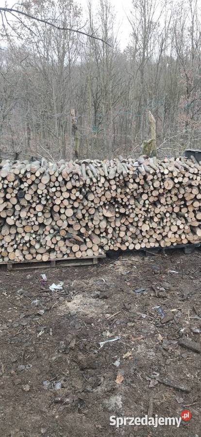 Drewno opałowe zachodniopomorskie Szczecin