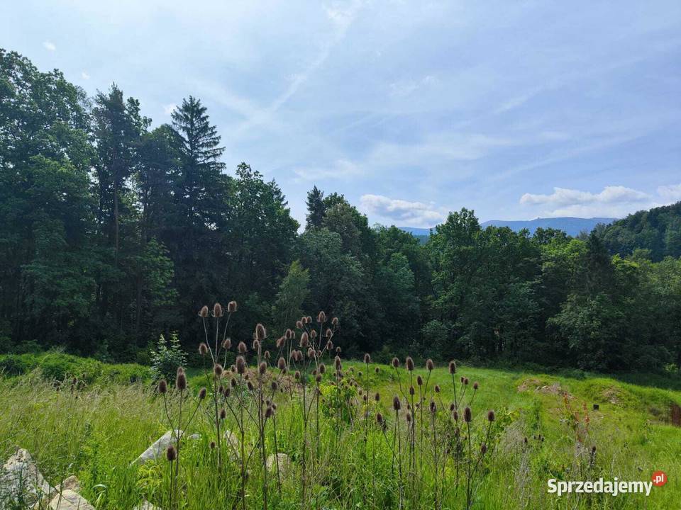 Działka w górach w m Piechowice Górzyniec dolnośląskie