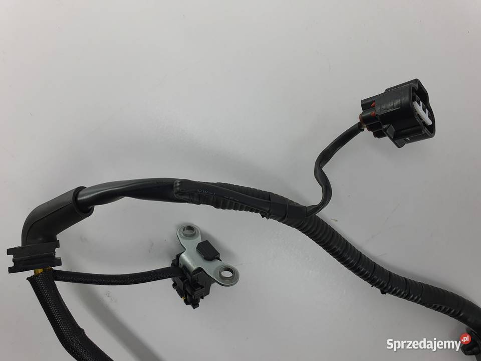 Stator Stojan Alternator Honda Crf 1000 Twin DCT Łódź