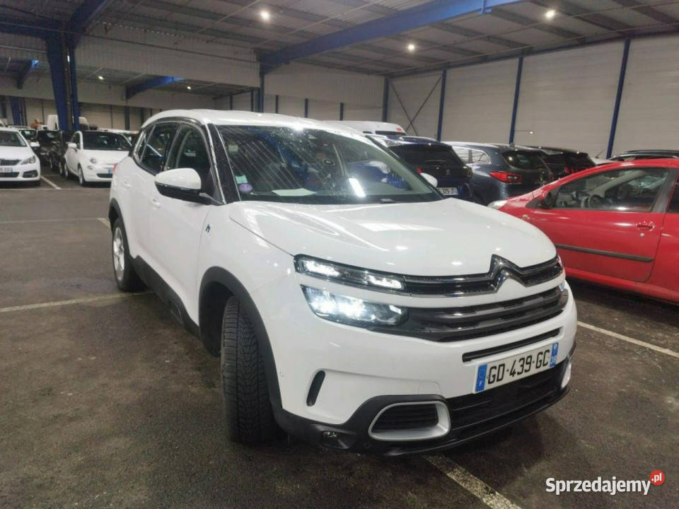 Citroen C5 Aircross Białogard