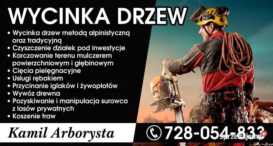 Wycinka drzew śląskie Dąbrowa Górnicza