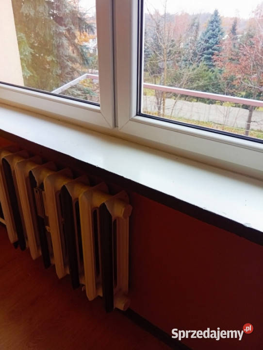 Mieszkanie z potencjałem Liczba pokoi 2 Sprzedaż Dąbrowa Górnicza