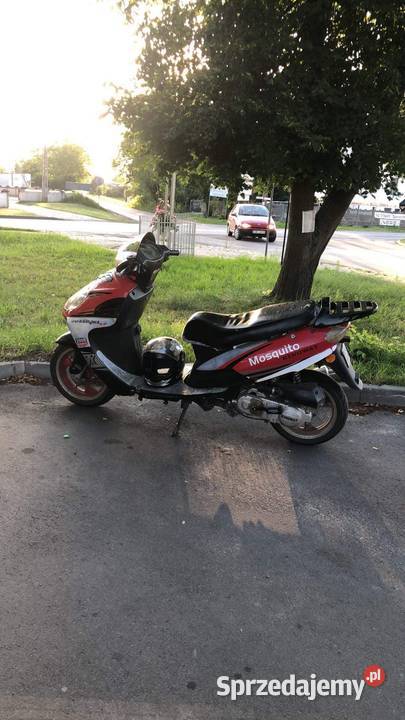 Skuter Kingway Mosquito 5075 Bukowski Las