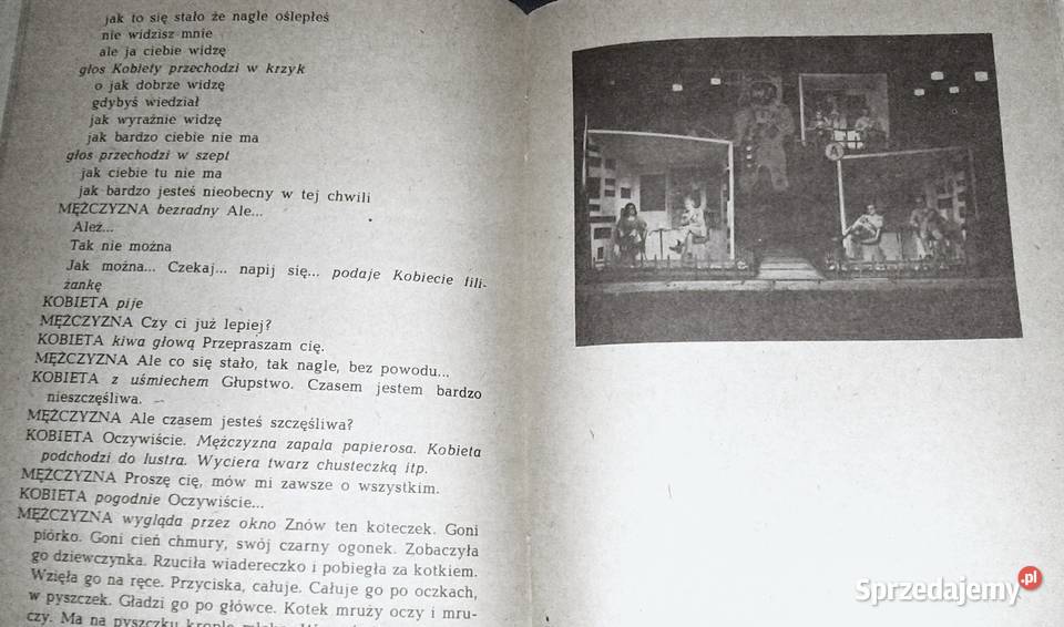 Świadkowie albo nasza mała stabilizacja Tadeusz Chełm