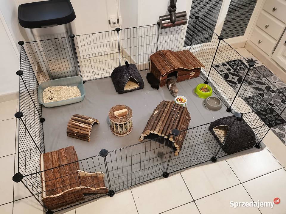 Kojec gryzoni klatka królika wybieg metalowy Rakoniewice sprzedam
