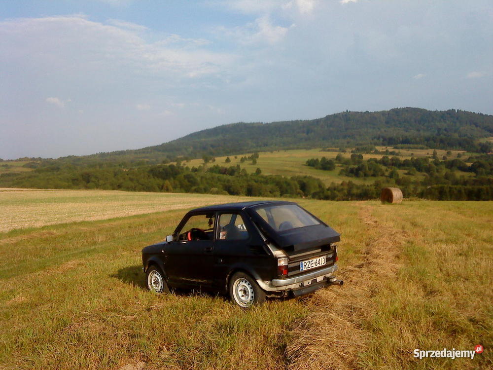 Maluch BIS Samochody osobowe Krosno