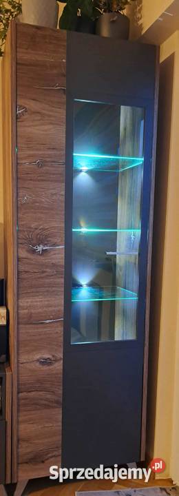 SPRZEDAM ZESTAW MEBLI DO SALONU SZAFKA RTV Warszawa