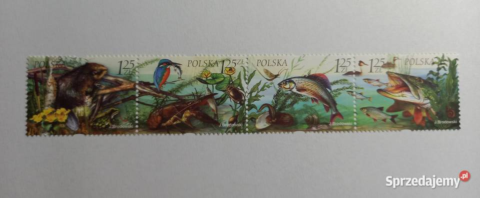 39513954 Fauna i Flora 2004r czysty Poznań