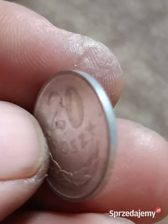 Sprzedam 20 gr 1949 r nalewka na 2 mala skretka Chełm
