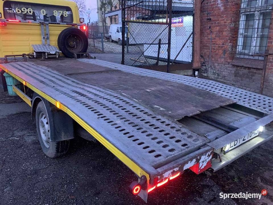 Leweta peżot Kętrzyn