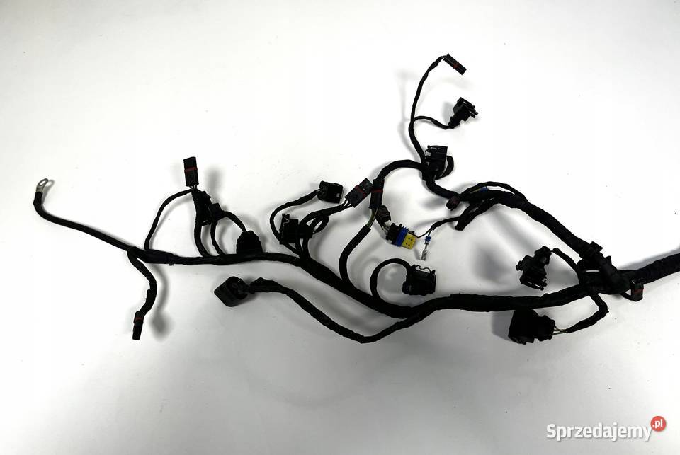 BMW K 1300 R K43 0815 Wiązka przewodów silnika wielkopolskie