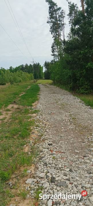 Działka budowlana 2 000 m2 Henryków gm Chynów utwardzona Sprzedaż mazowieckie