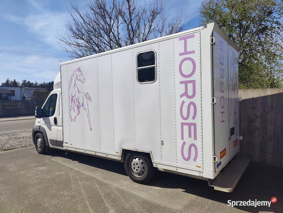 Fiat Ducato Koniowóz Maxi 160