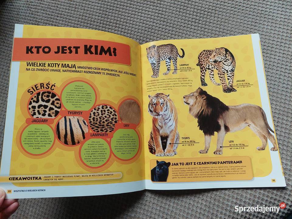 National Geographic Kids Wszystko o wielkich Kraków