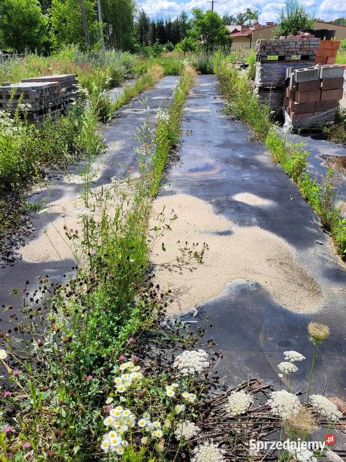 Utwardzenie terenu pasy transmisyjne łódzkie Łódź sprzedam