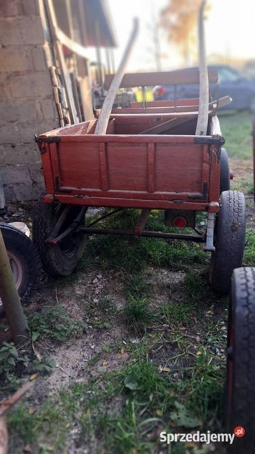 Sprzedam byczki konne Proboszczowice sprzedam