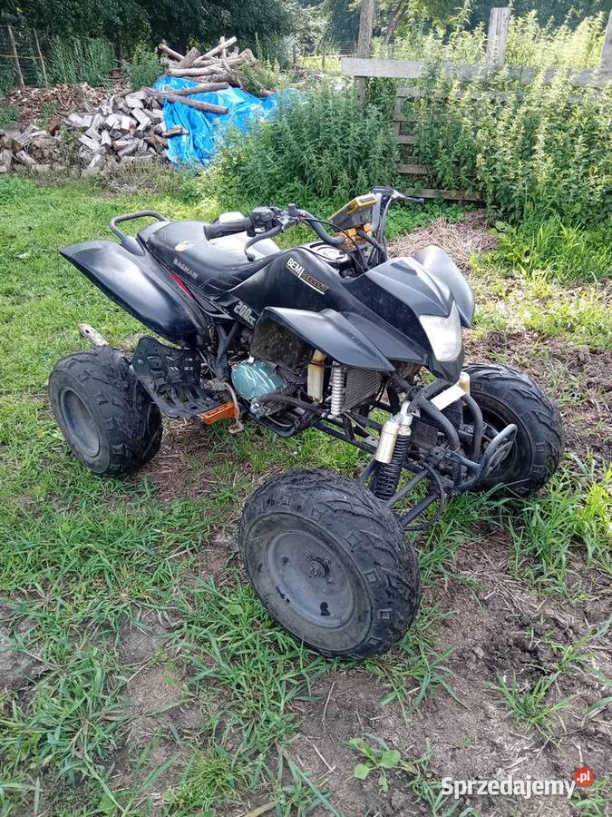 Quad Bashan 200 2000km Bashan Stara Dąbrowa