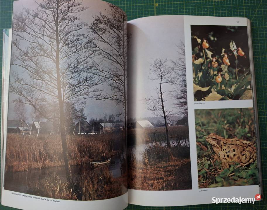 W krainie Czarnej Hańczy Włodzimierz Puchalski Książki naukowe i popularnonaukowe małopolskie Kraków