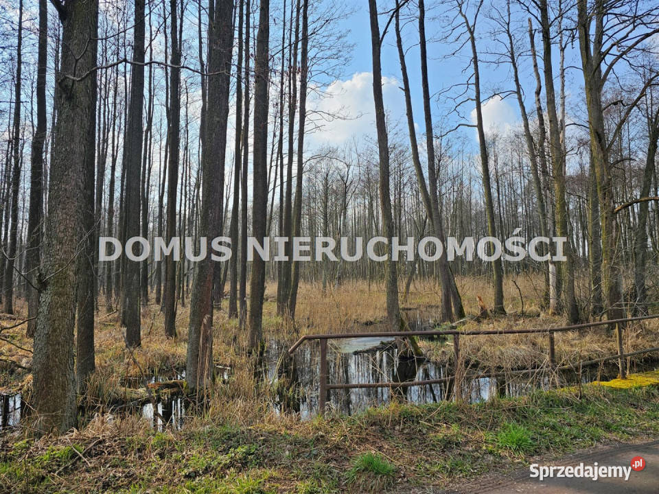 Dom wolnostojący Frydrychów 60m2 wolnostojący
