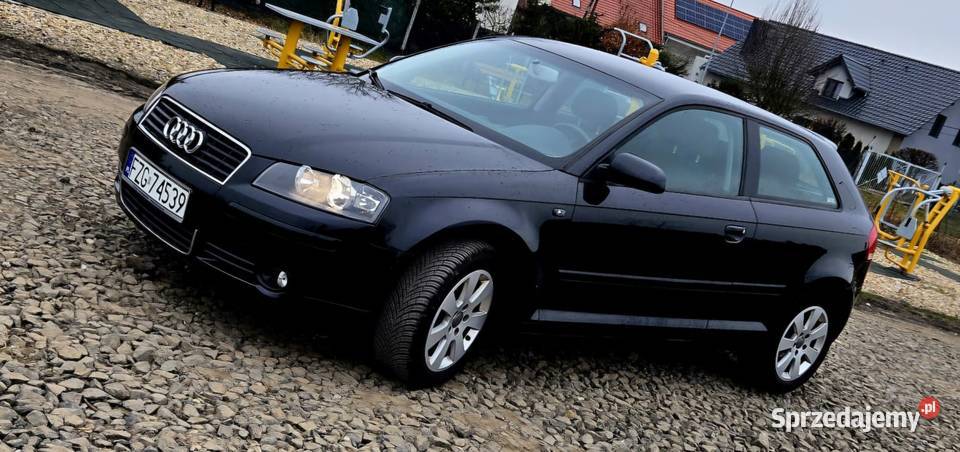 Audi a3 8p 16 mpi Zadbana Zarejestrowana bez VAT marża lubuskie sprzedam