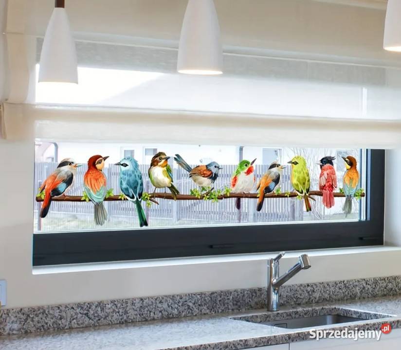 Naklejka na szybę folia z ptakami Naklejki mazowieckie Ząbki