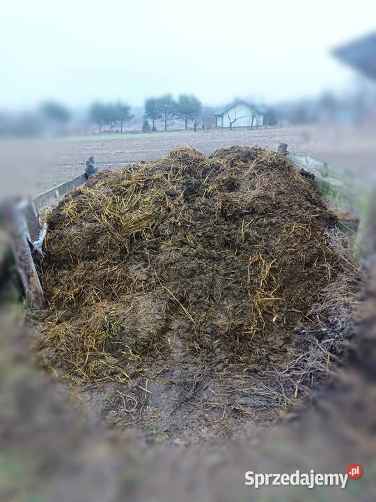 Obornik koński lubelskie