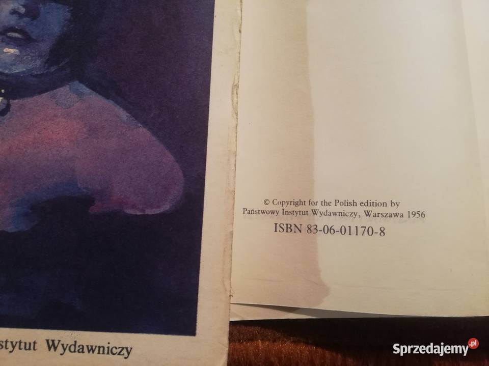 Zestaw literatury rosyjskiej