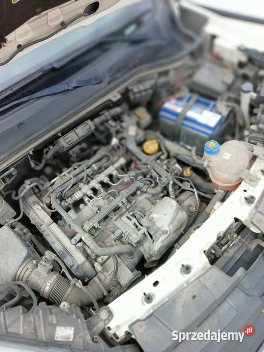 Fiat Doblo Cargo Maxi Diesel Chłodnia Izoterma Rumia