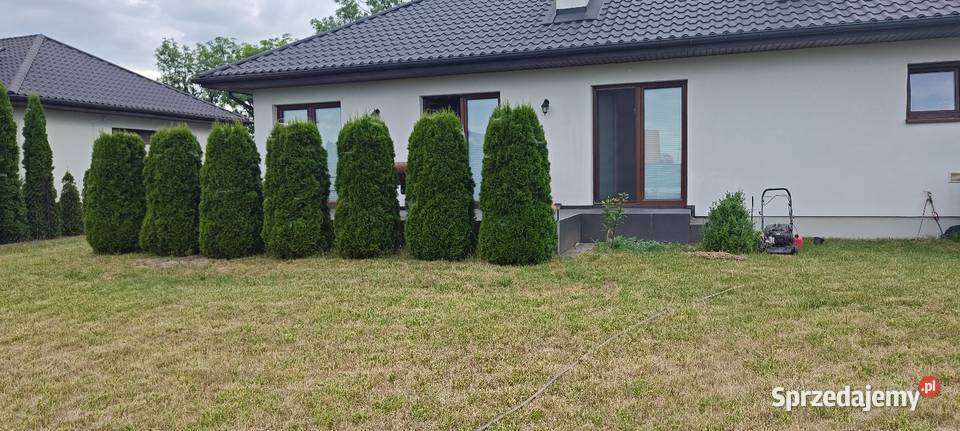 Dom sprzedam Seroki Parcela gmTeresin 870m2