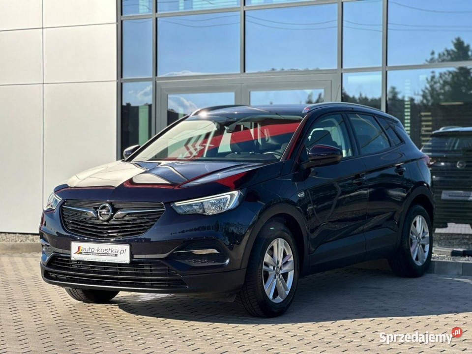 Opel Grandland X Grzane foteleKierownica Kąty Opolskie sprzedam