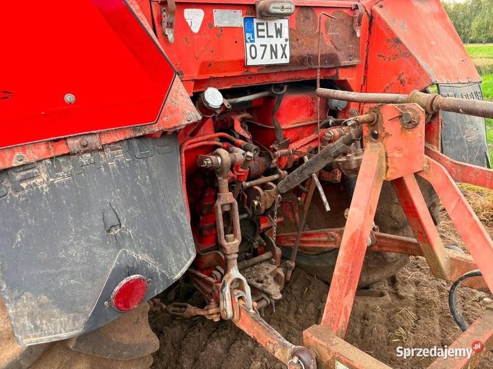 MTZ 82 96r MTZ Cierno-Żabieniec