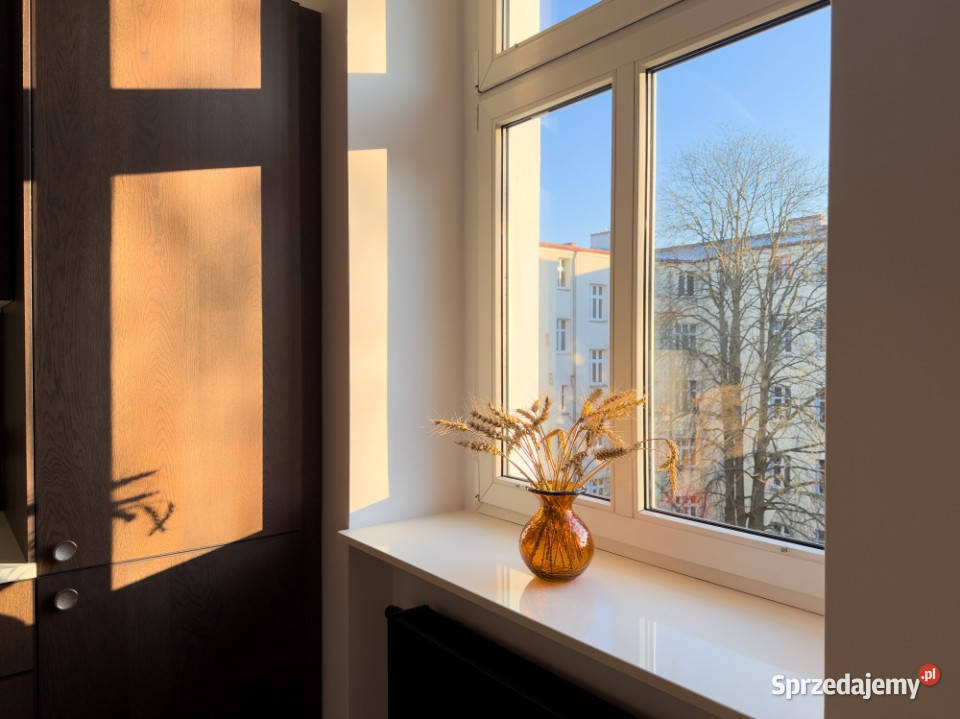 Nowe Drewniana Podłoga Parking Oficyna Piwnica Poznań sprzedam