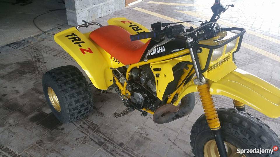 Yamaha tri250 Zadbana Yamaha
