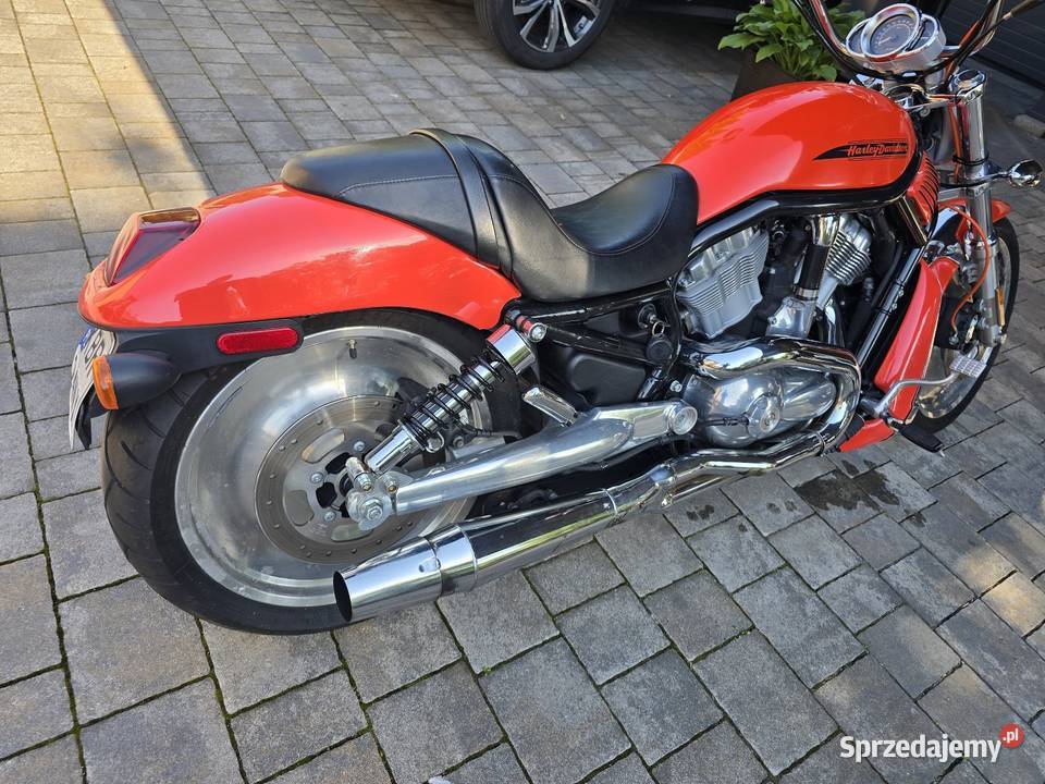 Harley Davidson Vrod 1130 Brzesko