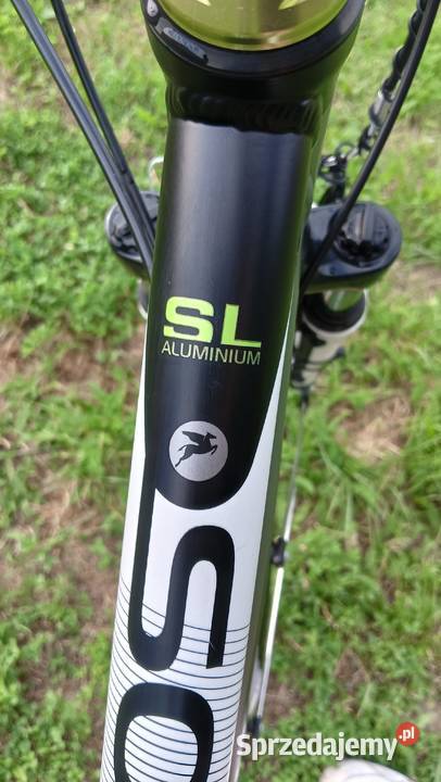 Rower trekkingowy Pegasus solero UNISEX Racibórz