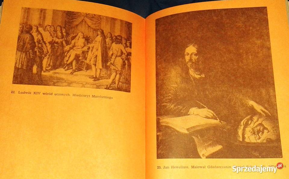 Adama Polanowskiego dworzanina Króla Jegomości Chełm