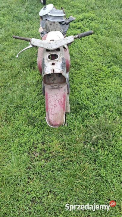 Shl gazela turystyczny Hrubieszów