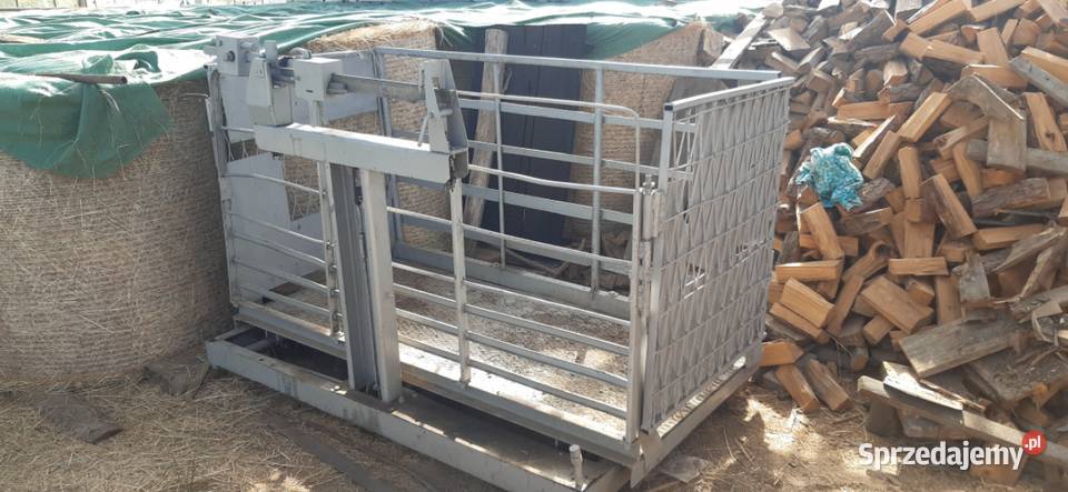 Sprzedam wagę bydła 1000 Iwkowa