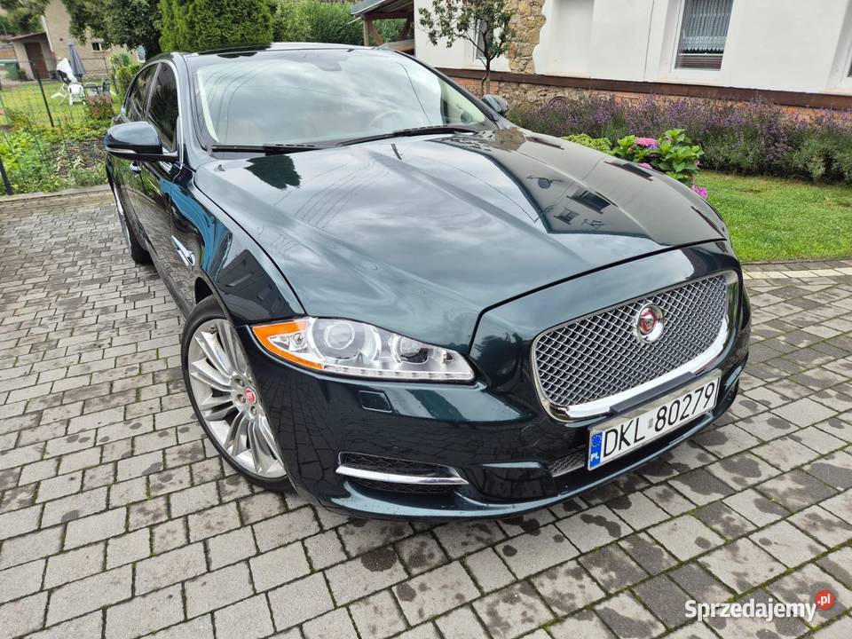 Jaguar XJ Dzikowiec